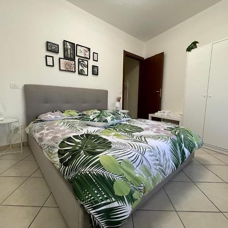 Castelli Home - Castelli Apartments Albano Laziale Buitenkant foto